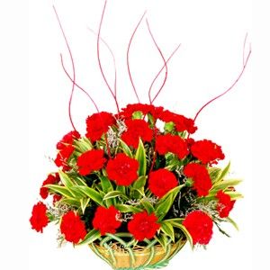 Carnations Round